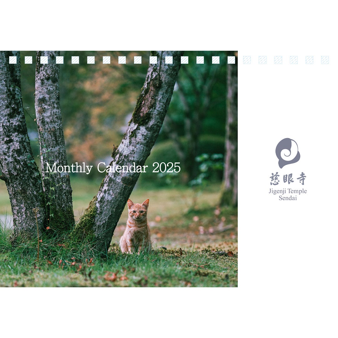 2025年オリジナル卓上カレンダー | 塩沼亮潤（書籍・グッズ）